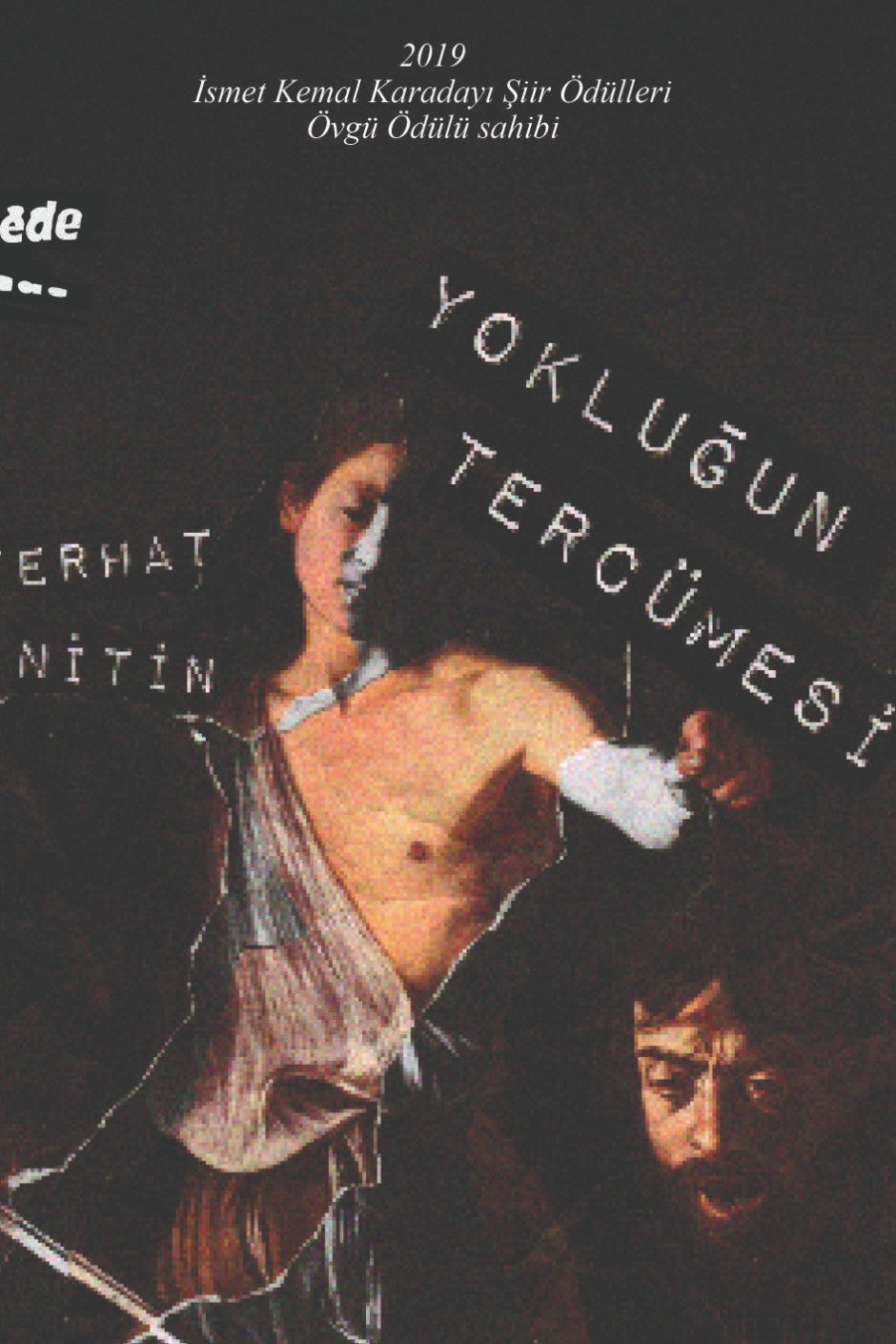 Yokluğun Tercümesi - Ferhat Nitin kitap kapağı