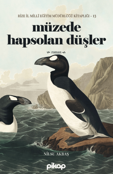 Müzede Hapsolan Düşler - Nilsu Akbaş kitap kapağı