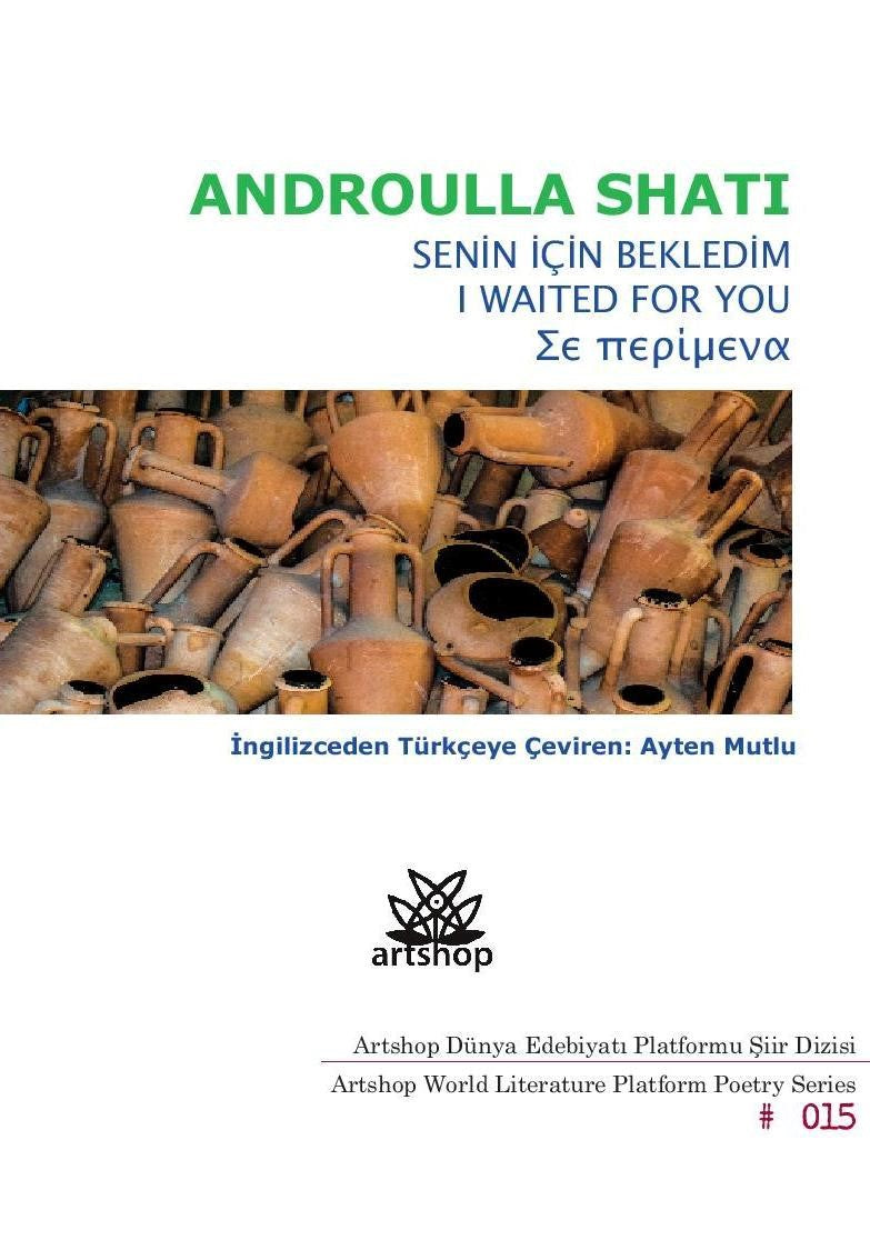 Senin İçin Bekledim - Androulla Shati kitap kapağı