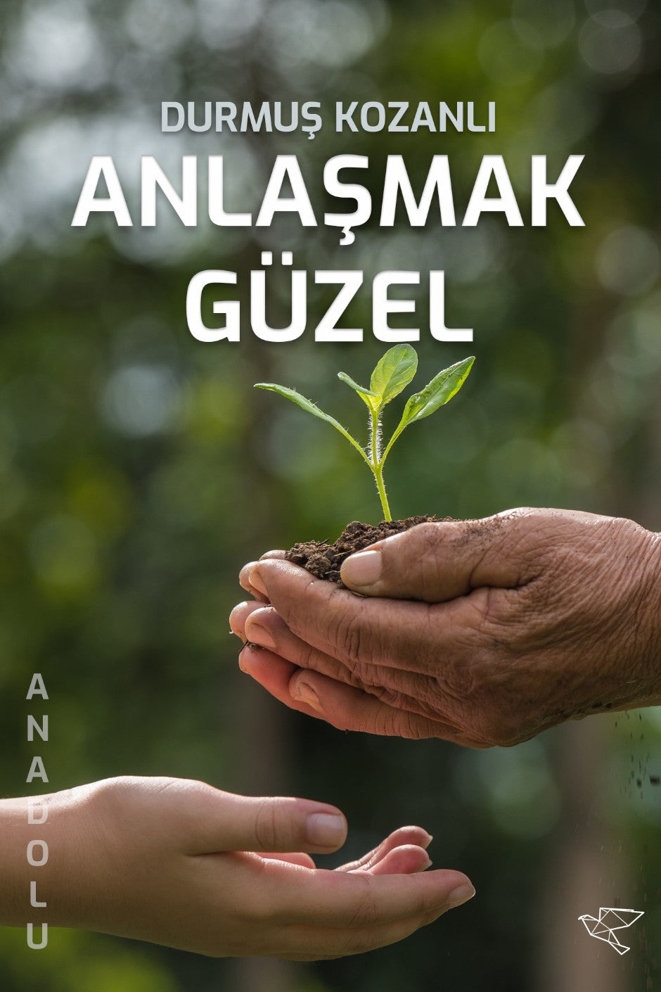 Anlaşmak Güzel - Durmuş Kozanlı kitap kapağı