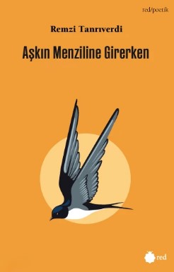 Aşkın Menziline Girerken - Remzi Tanrıverdi kitap kapağı