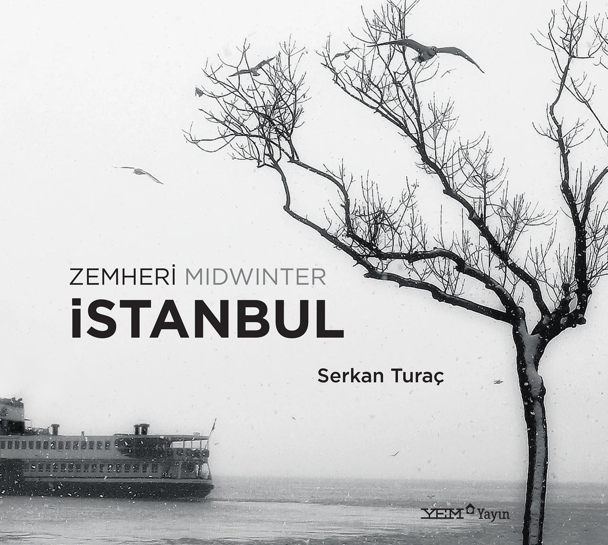 Zemheri İstanbul Midwinter - Serkan Turaç kitap kapağı