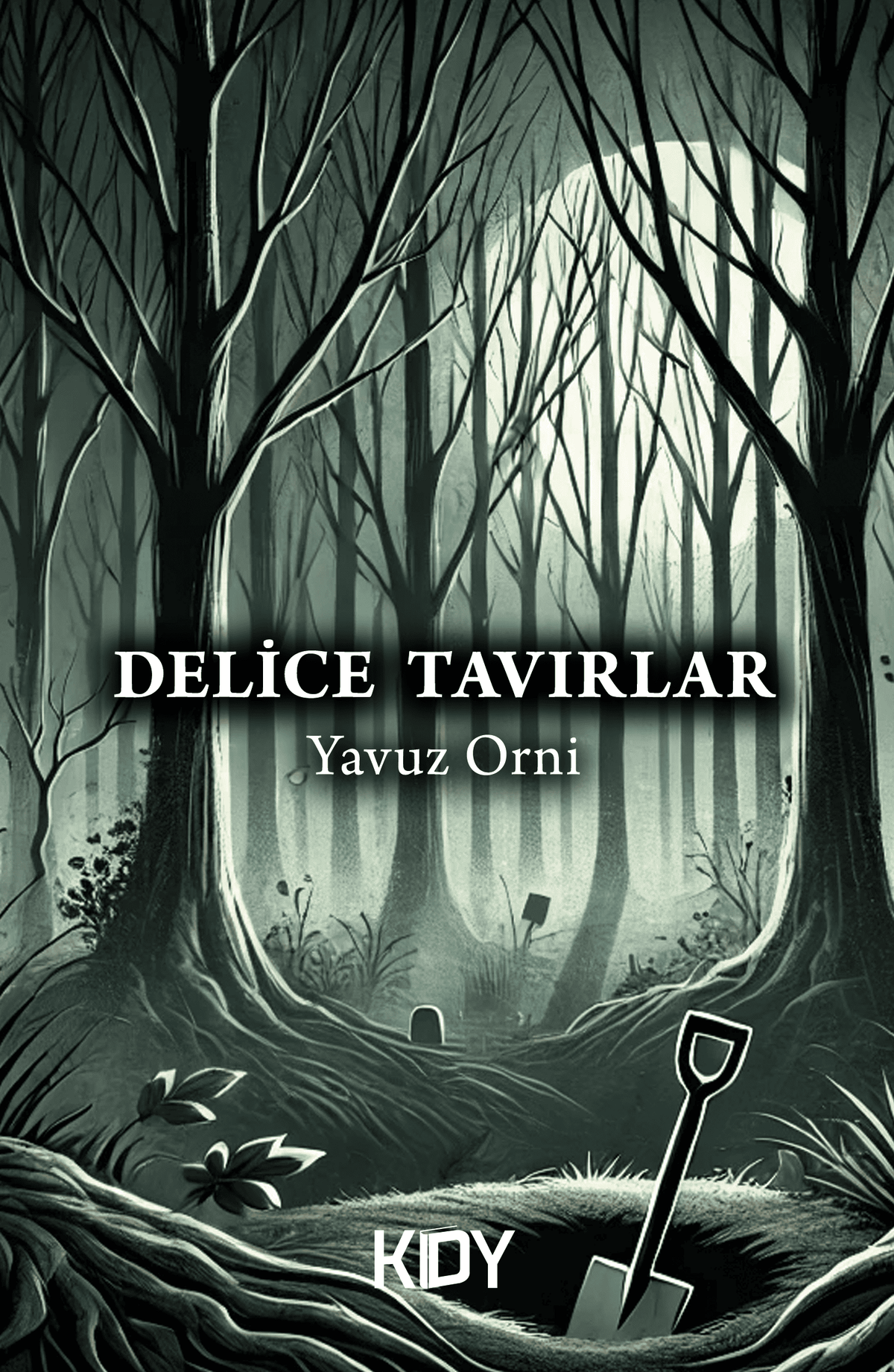 Delice Tavırlar - Yavuz Orni kitap kapağı
