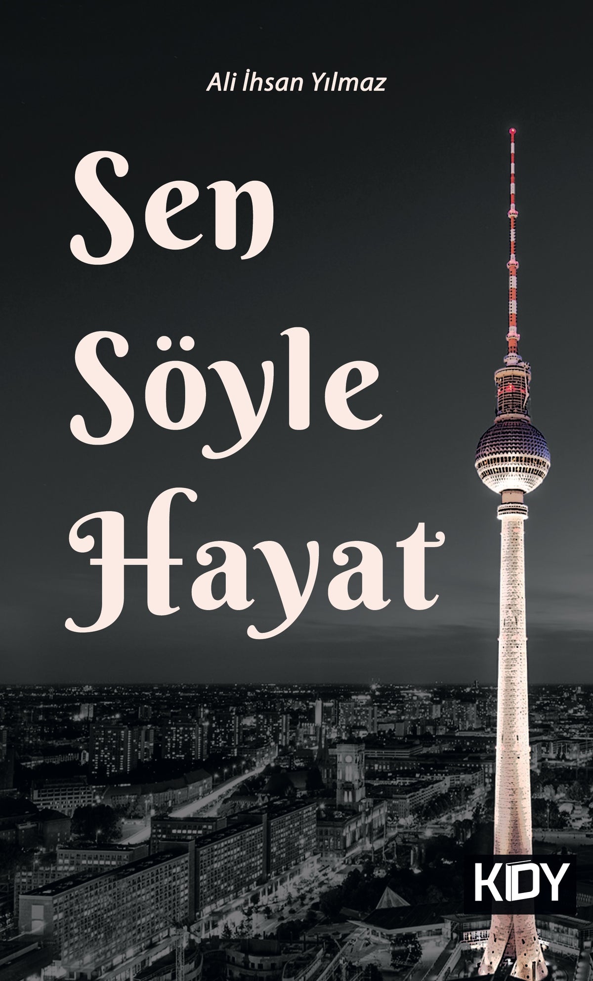 Sen Söyle Hayat - Ali İhsan Yılmaz kitap kapağı