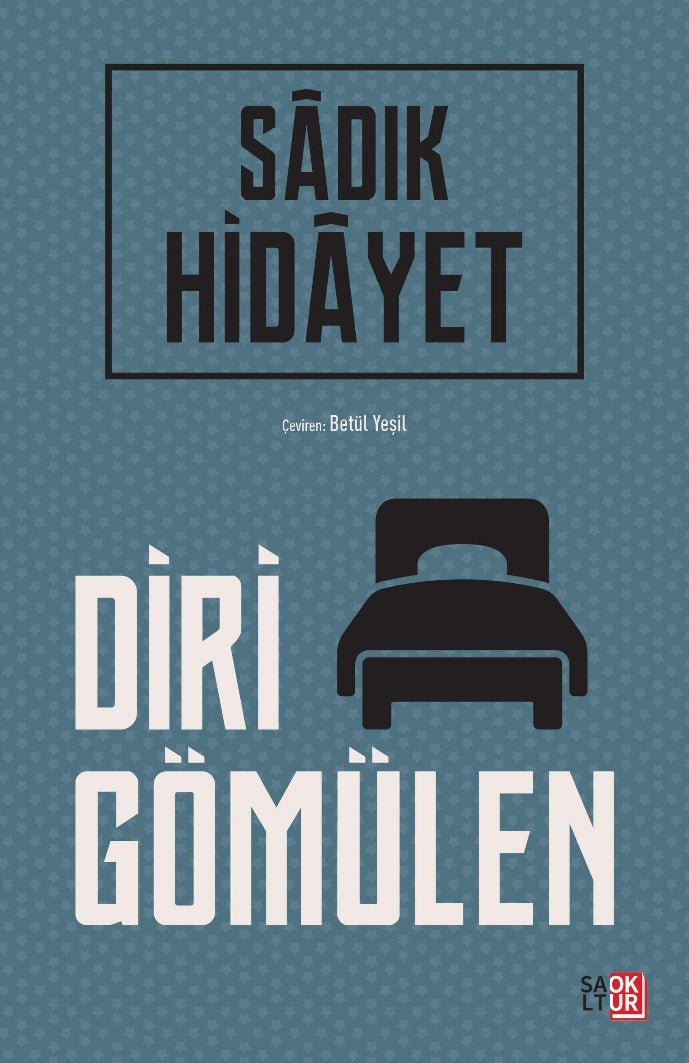 Diri Gömülen - Sadık Hidayet kitap kapağı