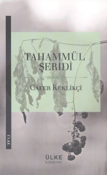 Tahammül Şeridi - Cafer Keklikçi kitap kapağı