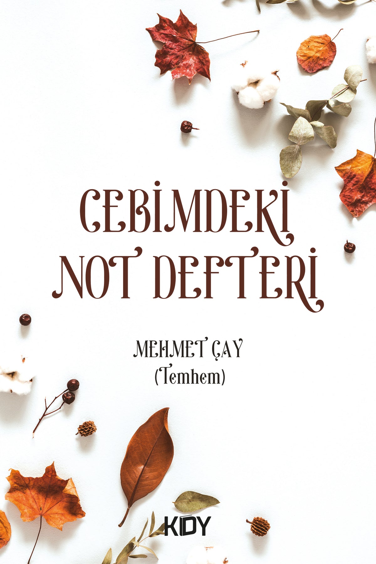 Cebimdeki Not Defteri - Mehmet Çay kitap kapağı