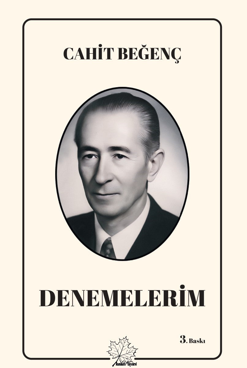 Denemelerim - Cahit Beğenç kitap kapağı