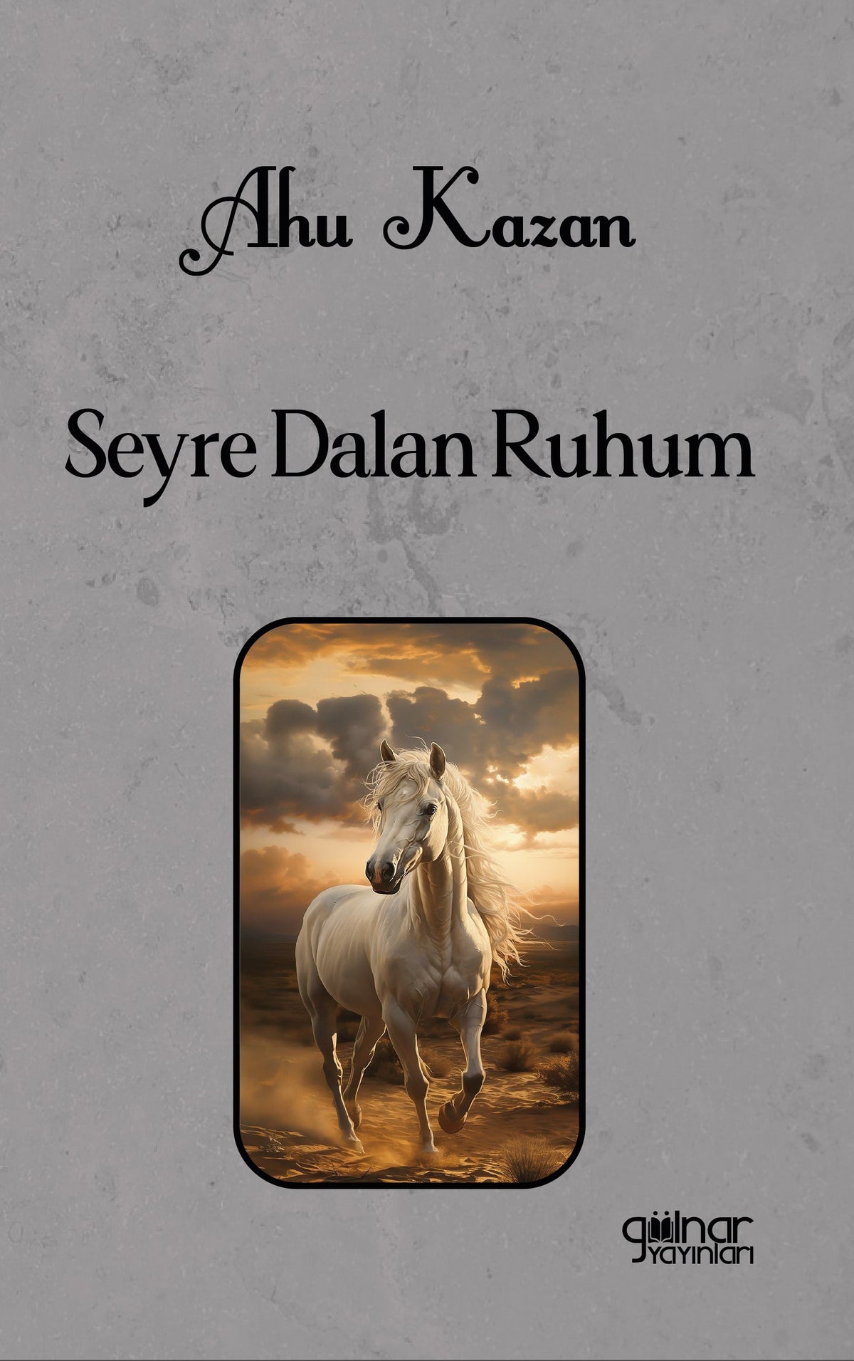 Seyre Dalan Ruhum - Ahu Kazan kitap kapağı
