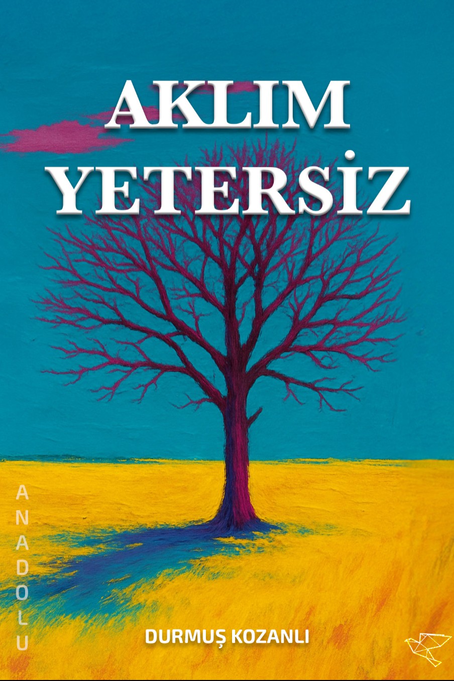 Aklım Yetersiz - Durmuş Kozanlı kitap kapağı