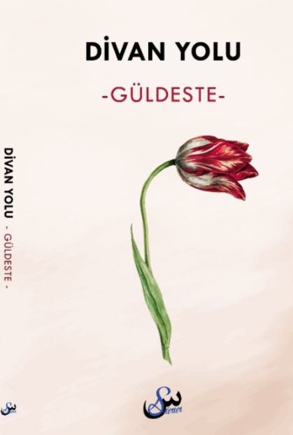 Divan Yolu Güldeste - Kolektif kitap kapağı