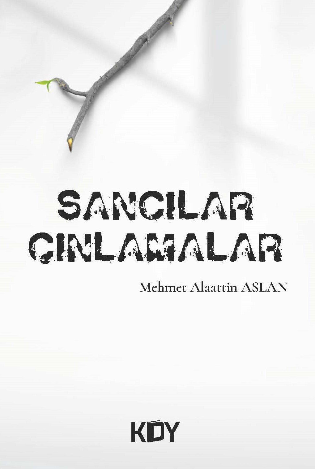 Sancılar Çınlamalar - Mehmet Alaattin Aslan kitap kapağı