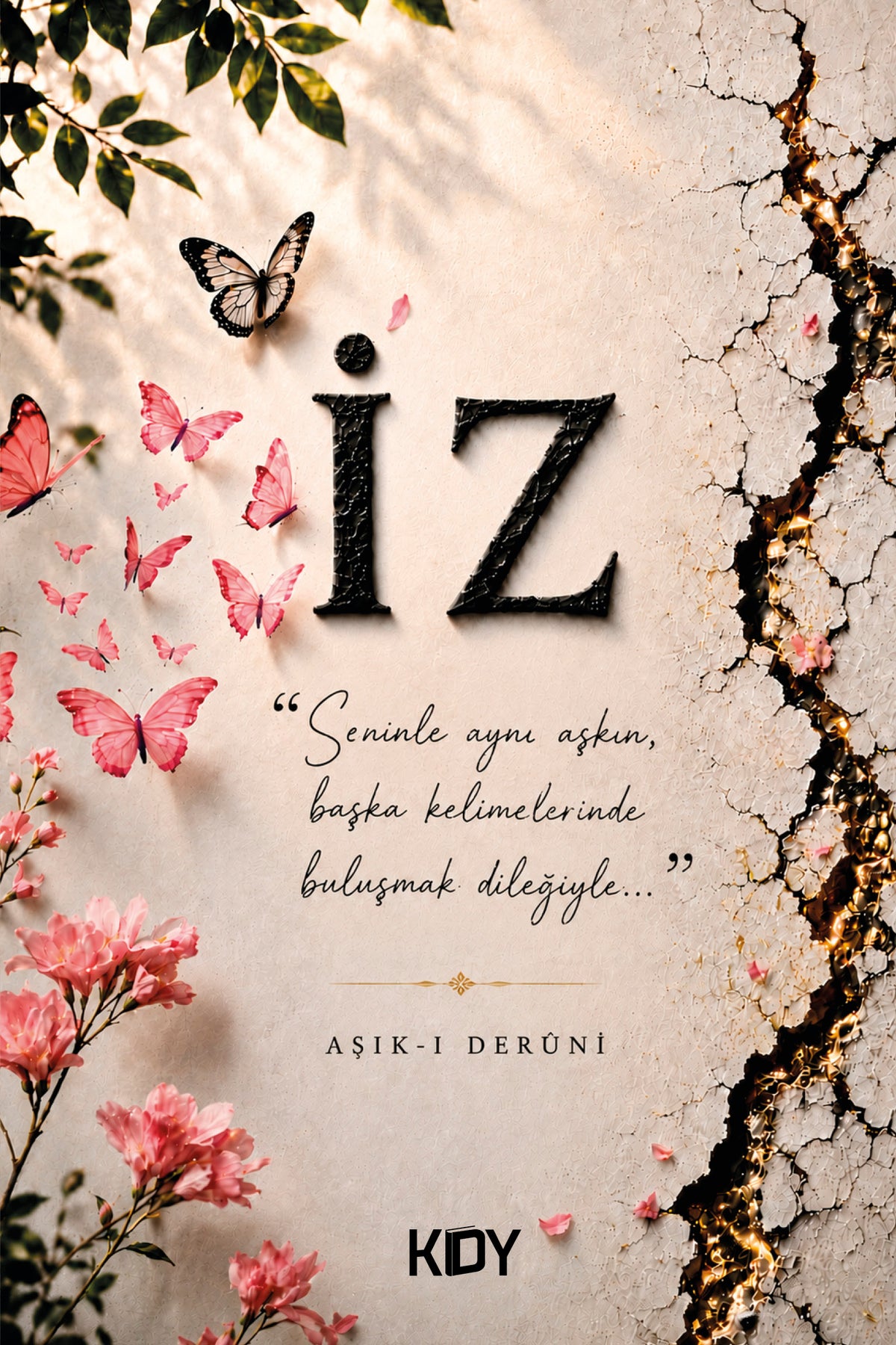 İz - Aşık-ı Derûni kitap kapağı