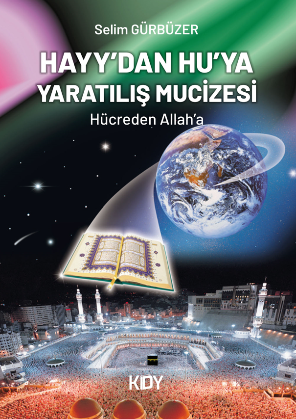 Hayy'dan Hu'ya Yaratılış Mucizesi - Selim Gürbüzer kitap kapağı