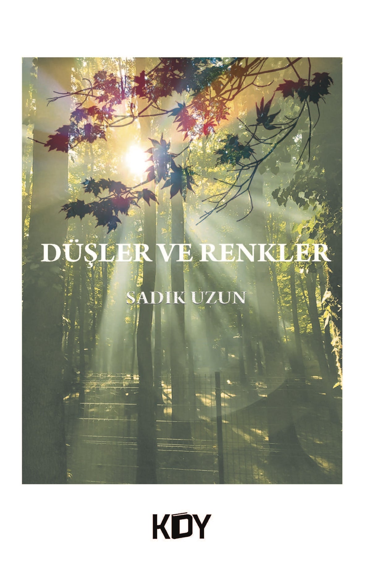 Düşler ve Renkler - Sadık Uzun kitap kapağı