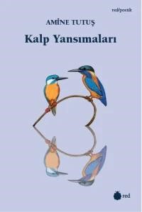 Kalp Yansımaları - Amine Tutuş kitap kapağı