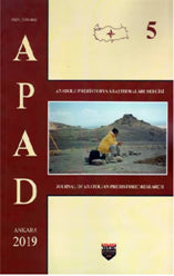 Anadolu Prehistorya Araştırmaları 5 / APAD 2019 - Kolektif kitap kapağı