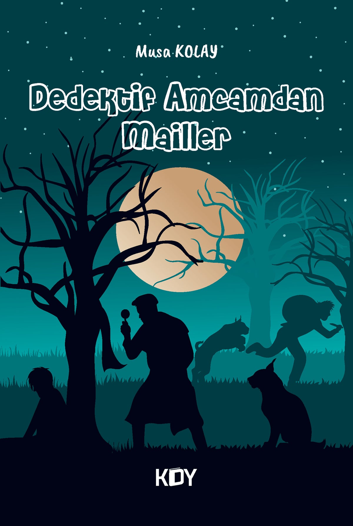 Dedektif Amcamdan Mailler - Musa Kolay kitap kapağı
