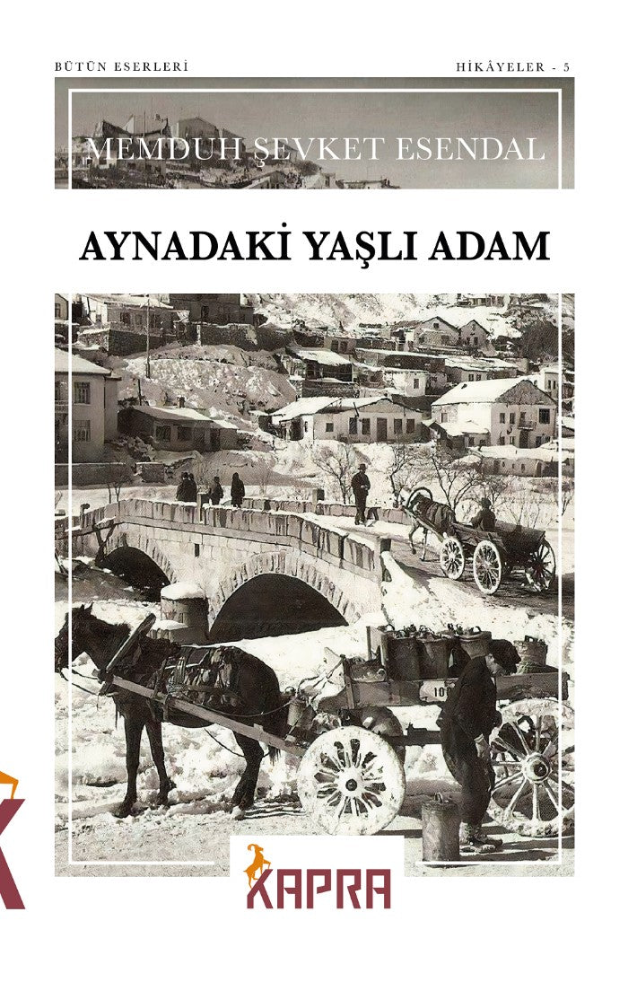 Aynadaki Yaşlı Adam - Memduh Şevket Esendal kitap kapağı