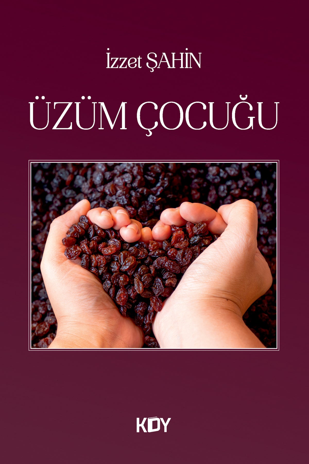 Üzüm Çocuğu - İzzet Şahin kitap kapağı