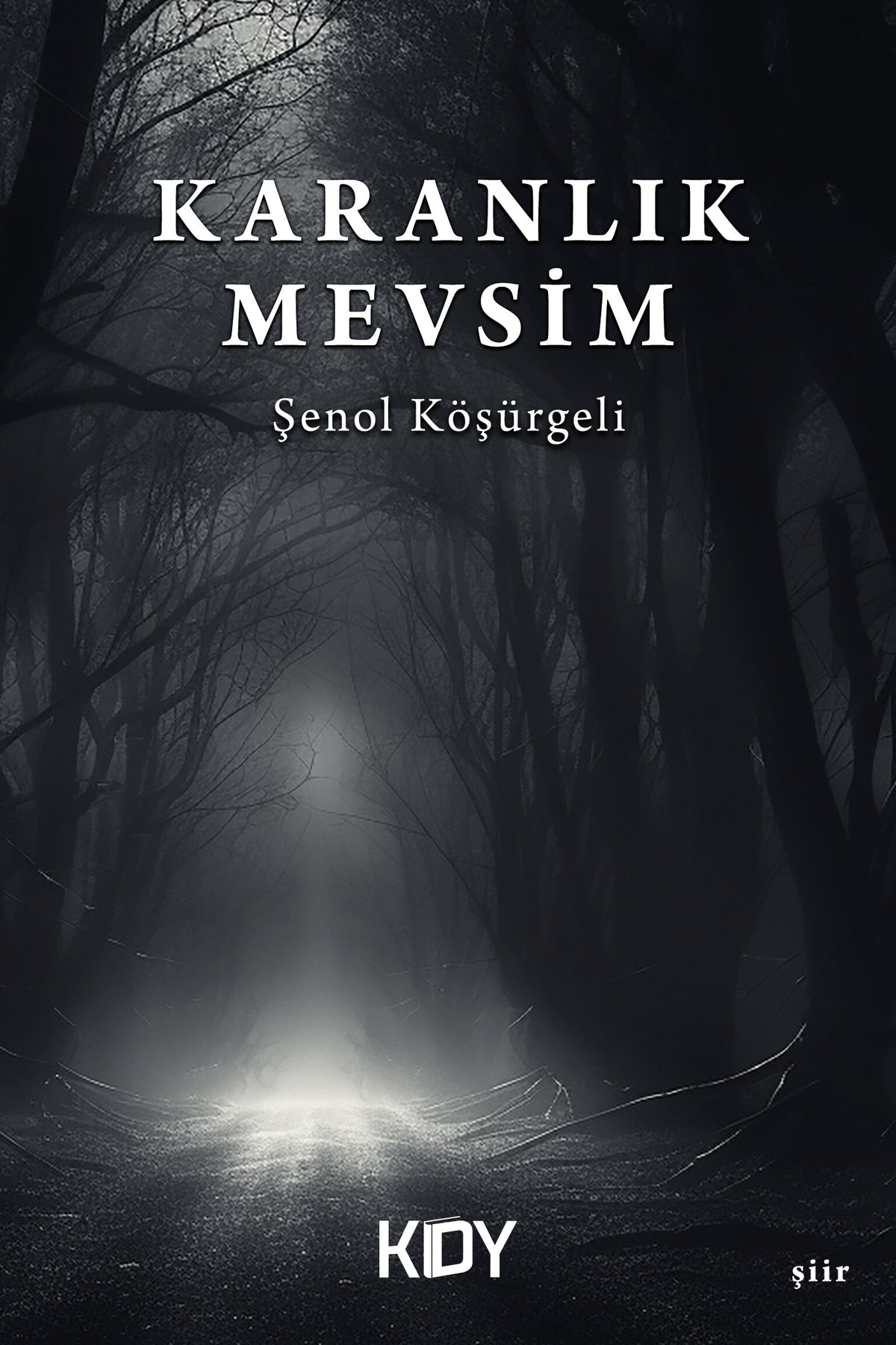 Karanlık Mevsim - Şenol Köşürgeli kitap kapağı