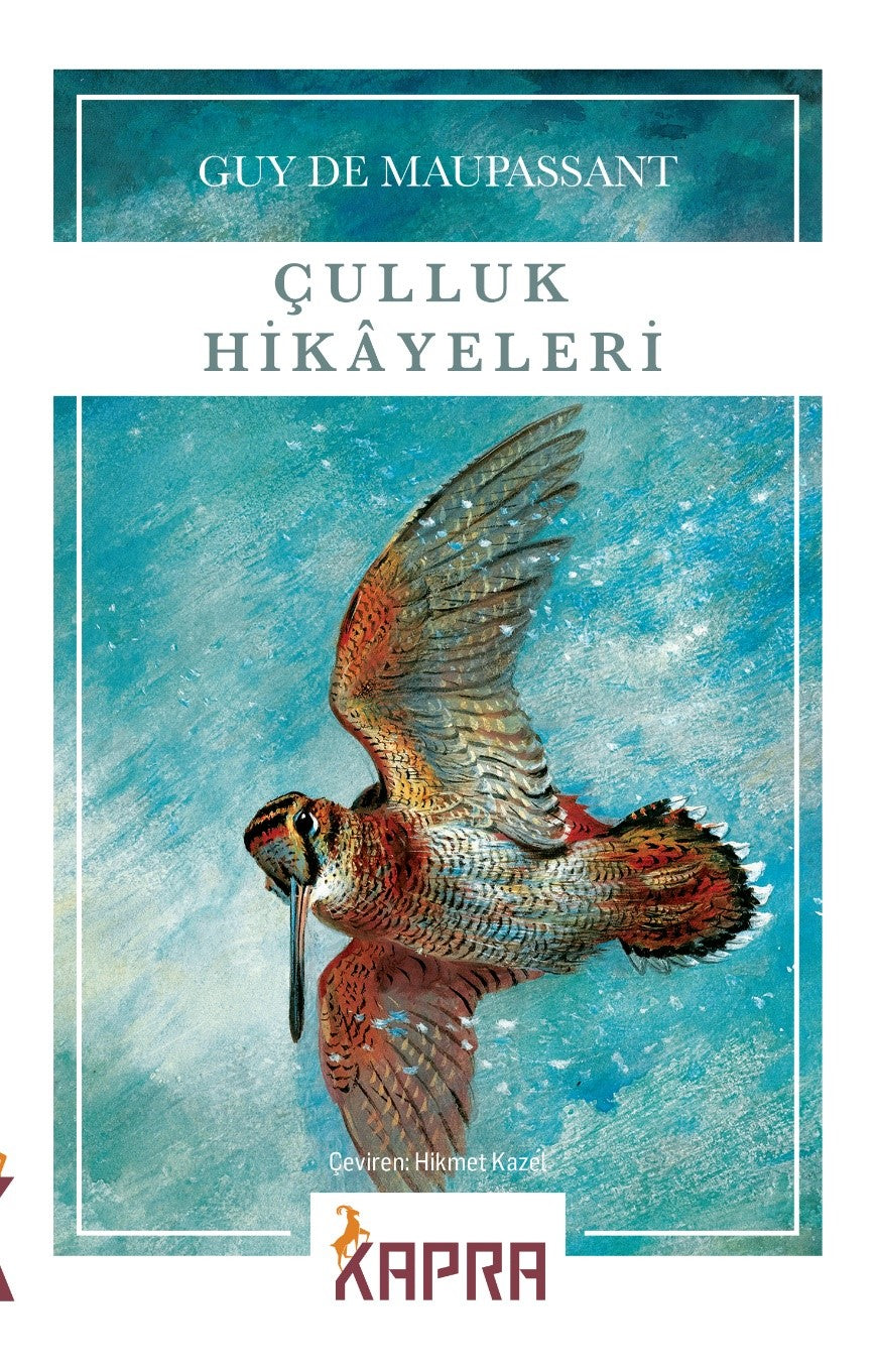Çulluk Hikayeleri - Guy de Maupassant kitap kapağı