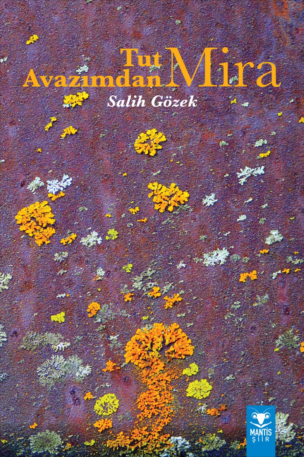 Tut Avazımdan Mira - Salih Gözek kitap kapağı