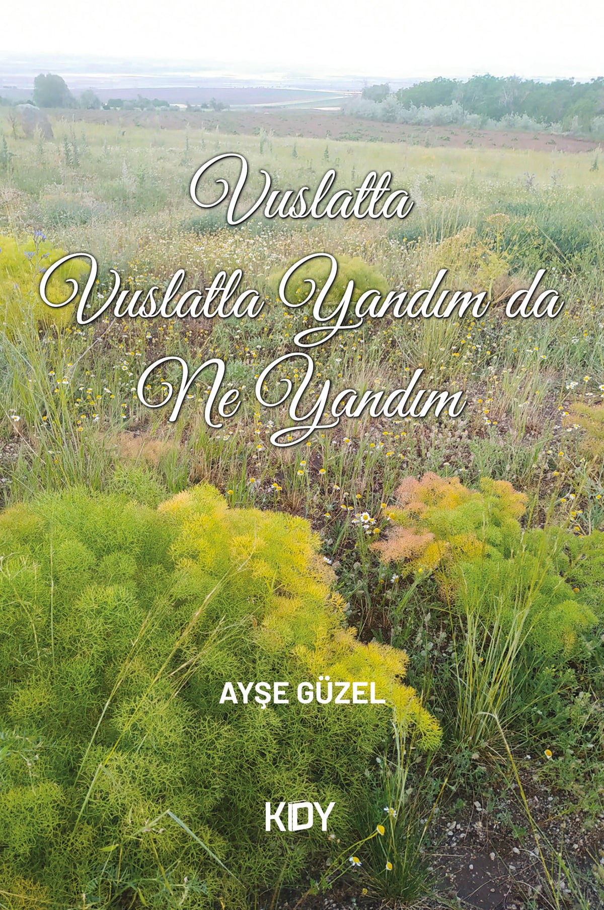 Vuslatta Vuslatla Yandım Da Ne Yandım - Ayşe Güzel kitap kapağı