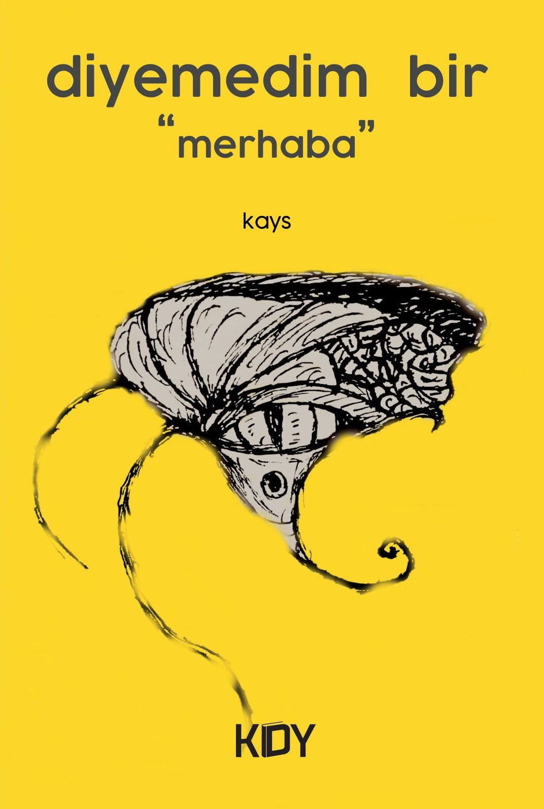Diyemedim Bir Merhaba - Kays kitap kapağı