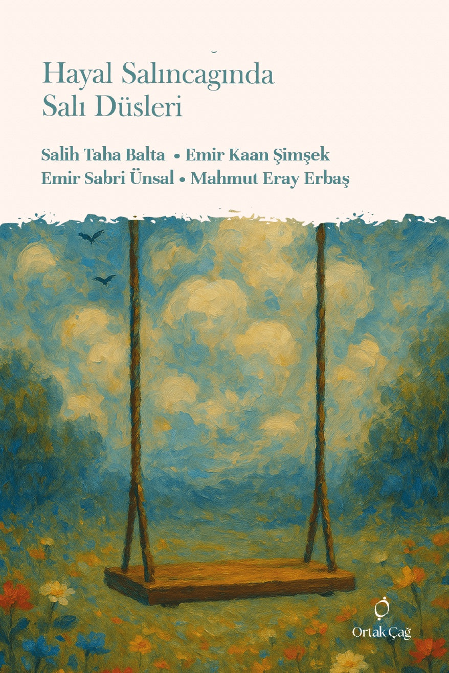 Hayal Salıncağında Salı Düşleri - Salih Taha Balta kitap kapağı