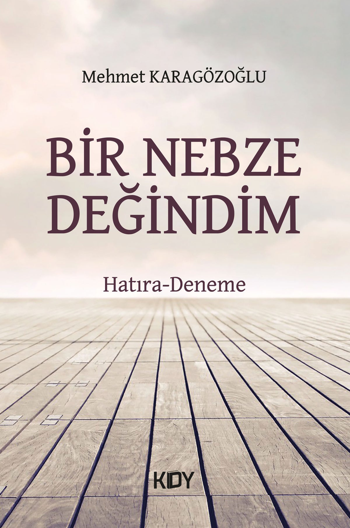 Bir Nebze Değindim - Mehmet Karagözoğlu kitap kapağı