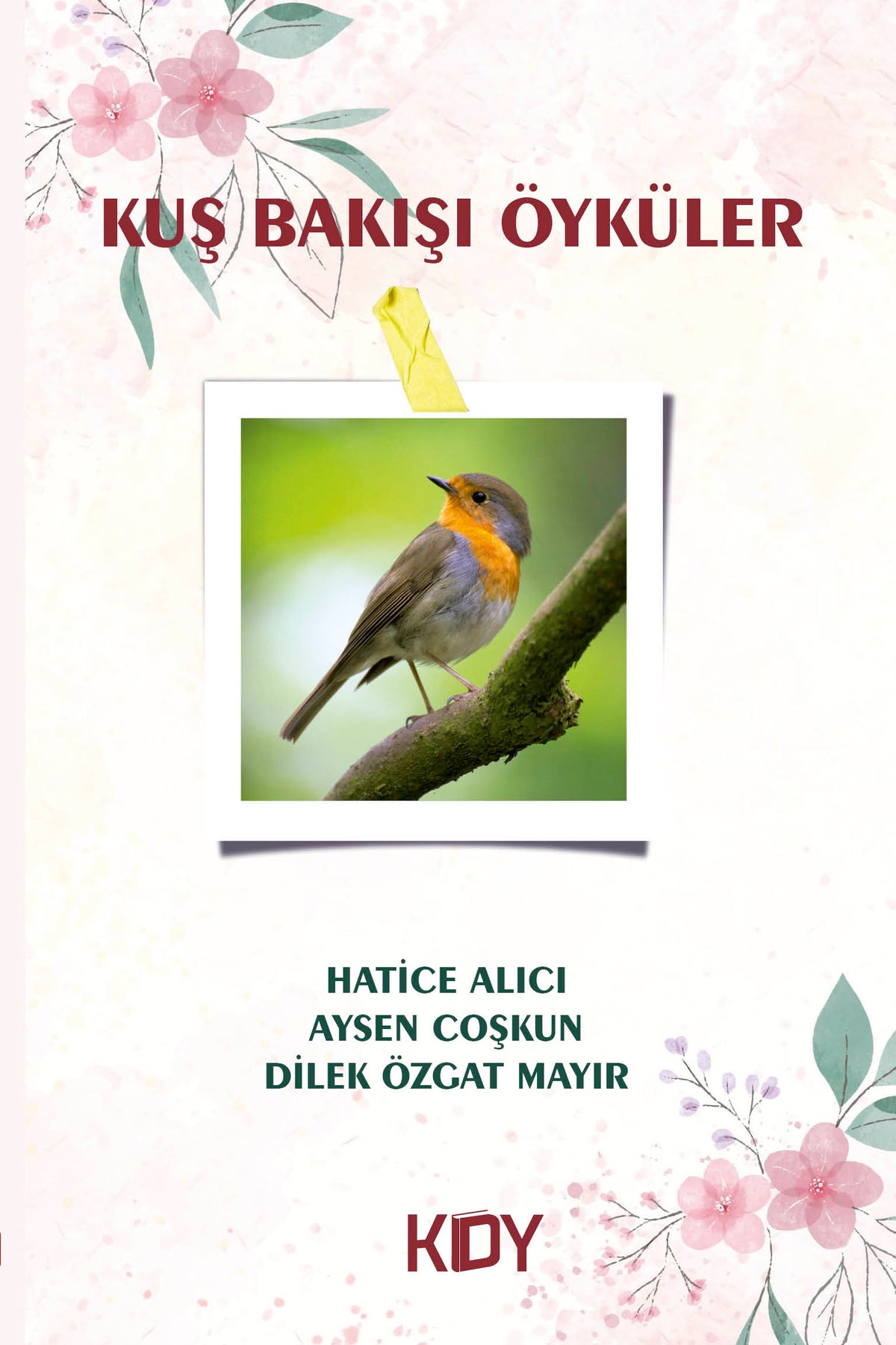 Kuş Bakışı Öyküler - Kolektif kitap kapağı