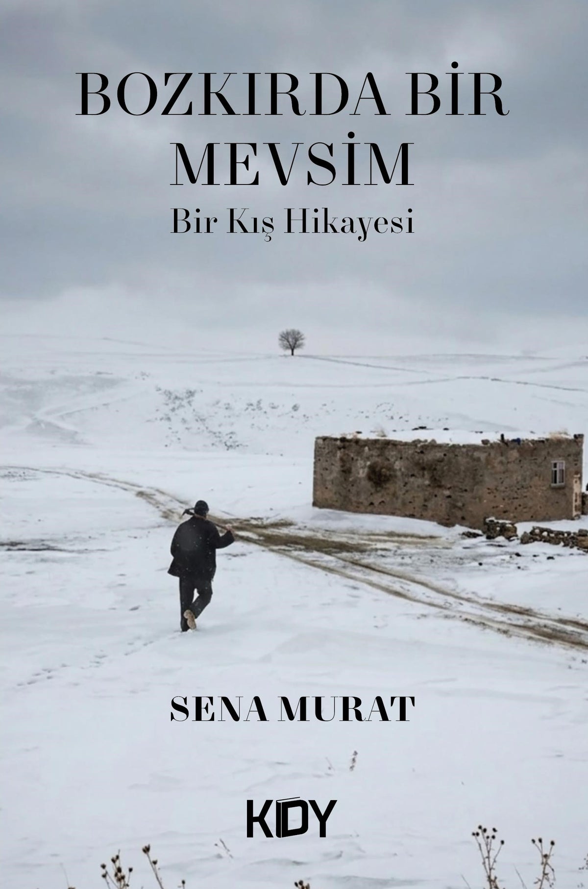 Bozkırda Bir Mevsim - Sena Murat kitap kapağı