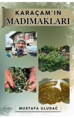 Karaçam'ın Madımakları - Mustafa Uludağ kitap kapağı