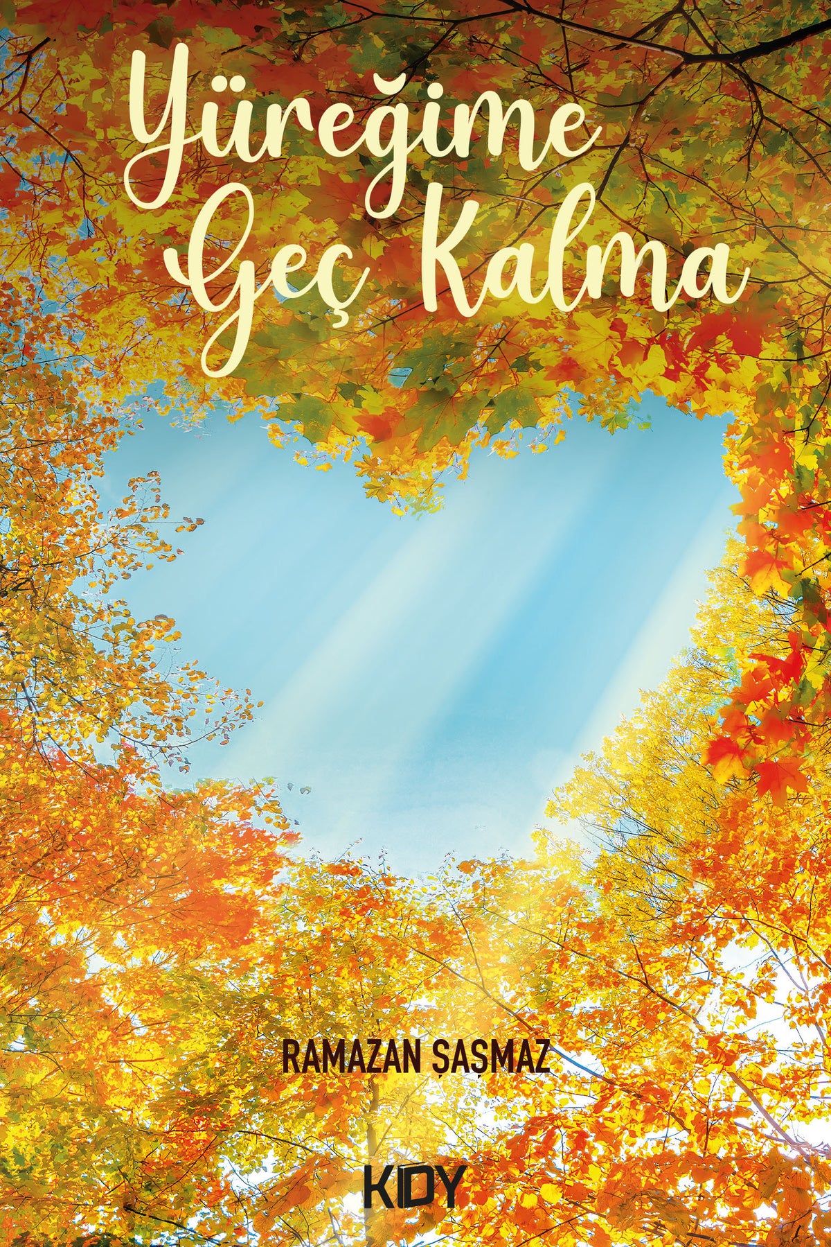 Yüreğime Geç Kalma - Ramazan Şaşmaz kitap kapağı