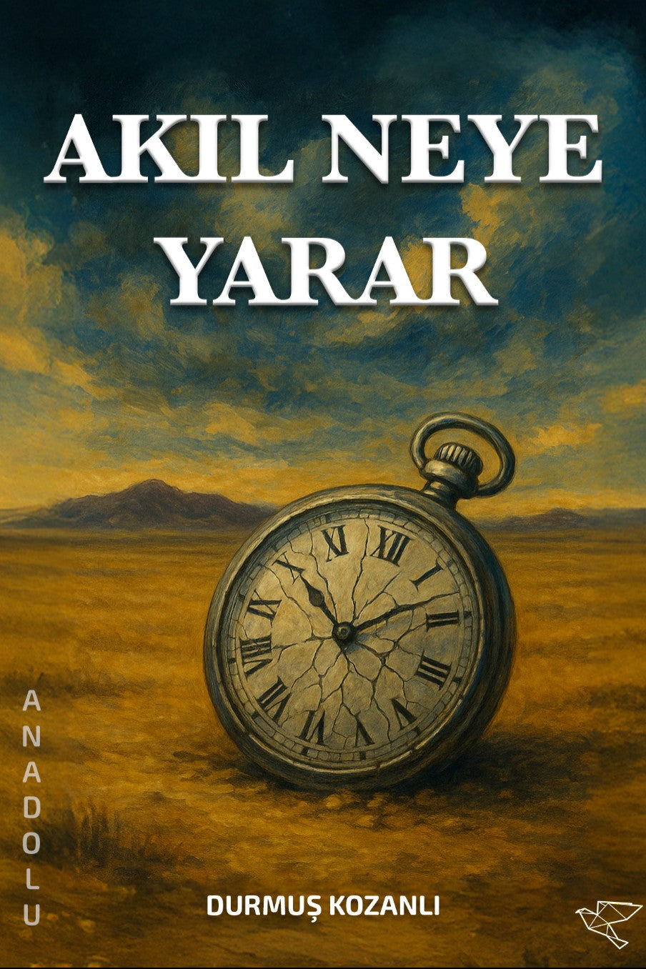 Akıl Neye Yarar - Durmuş Kozanlı kitap kapağı