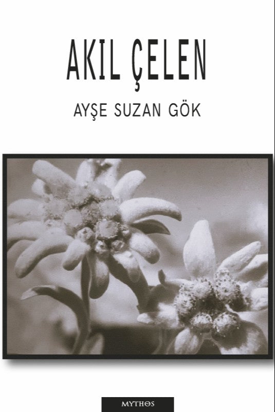Akıl Çelen - Ayşe Suzan Gök kitap kapağı