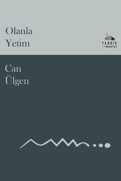 Olanla Yetim - Can Ülgen kitap kapağı