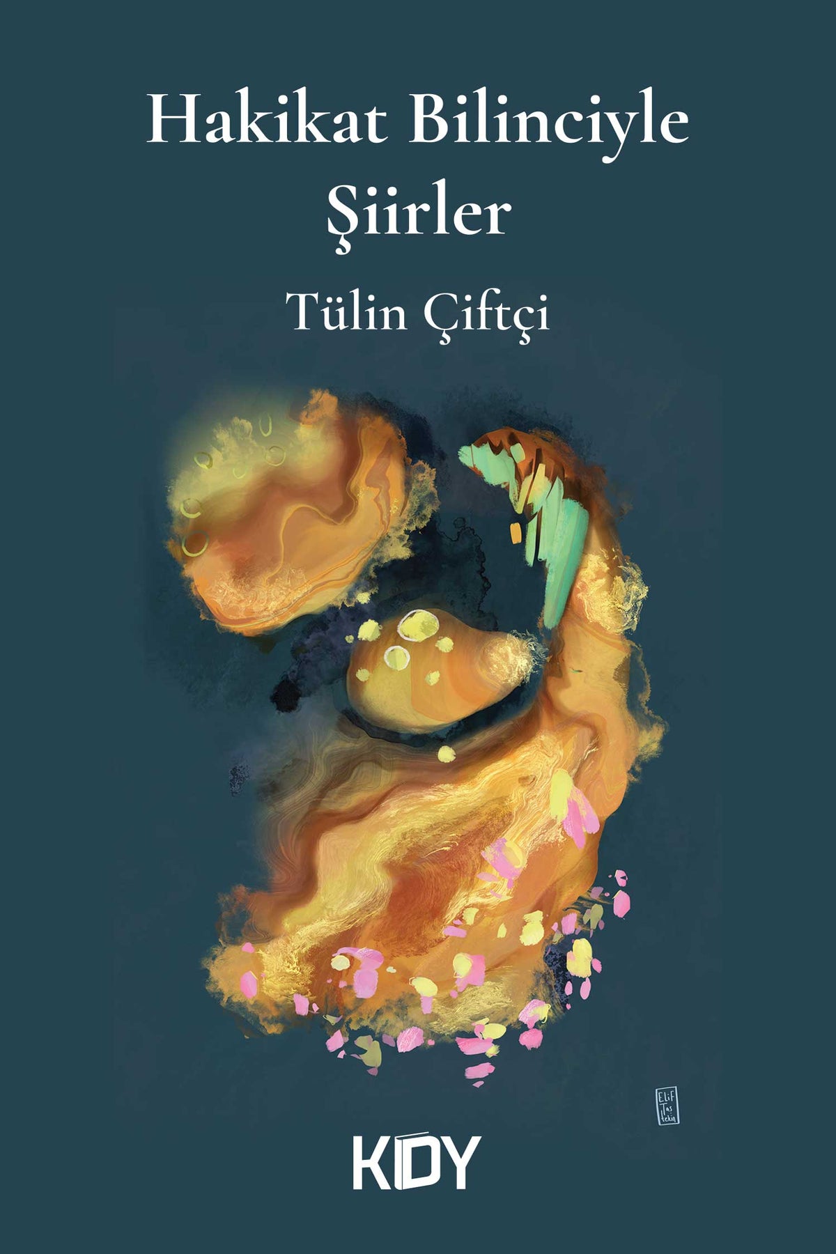 Hakikat Bilinciyle Şiirler - Tülin Çiftçi kitap kapağı