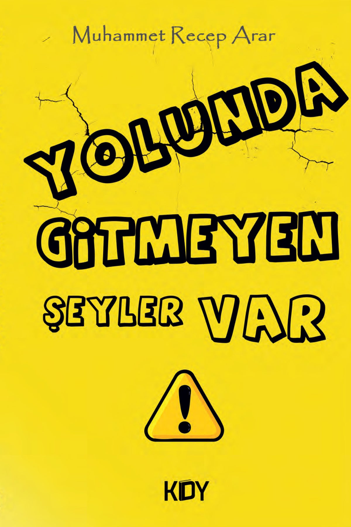 Yolunda Gitmeyen Şeyler Var - Muhammet Recep Arar kitap kapağı