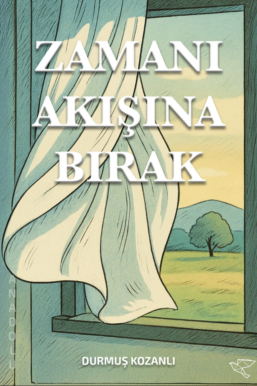 Zamanı Akışına Bırak - Durmuş Kozanlı kitap kapağı