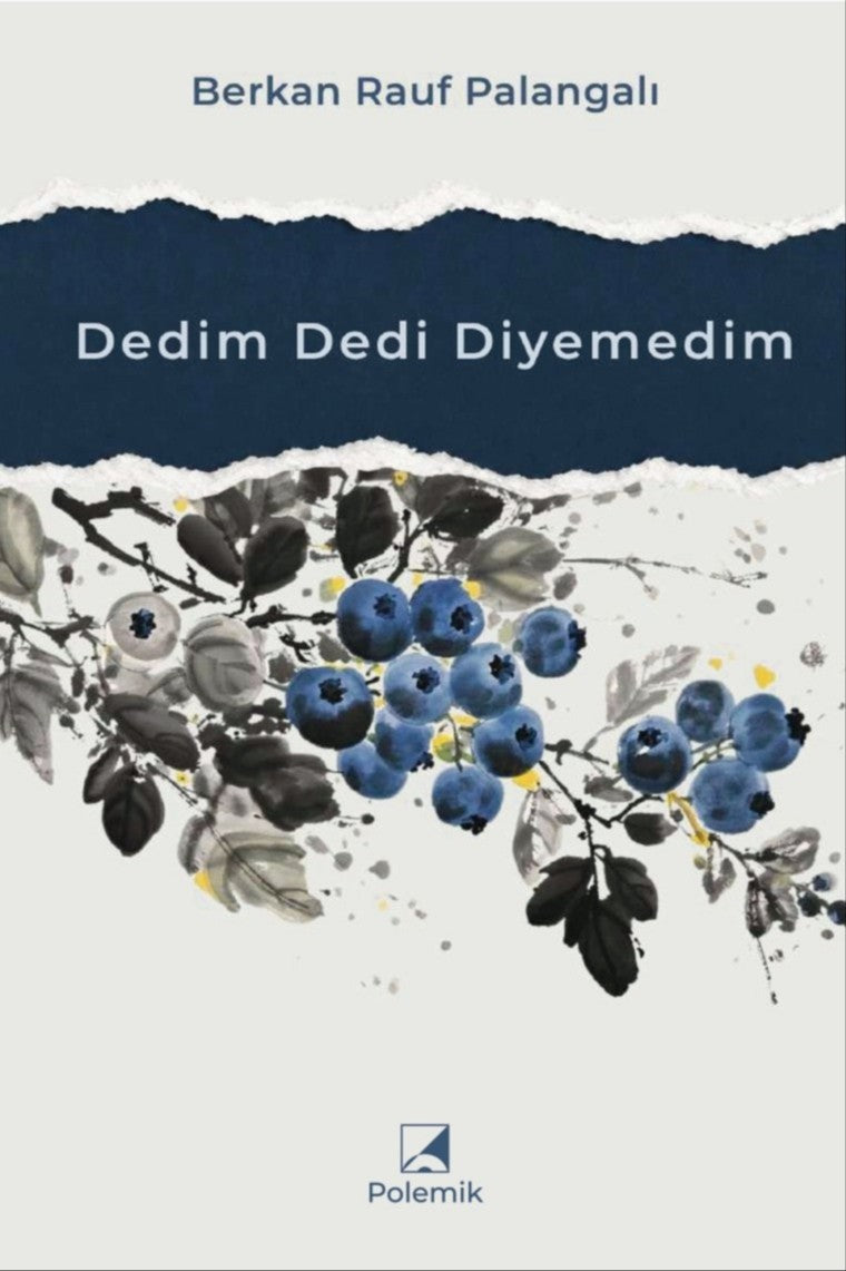 Dedim Dedi Diyemedim - Berkan Rauf Palangalı kitap kapağı