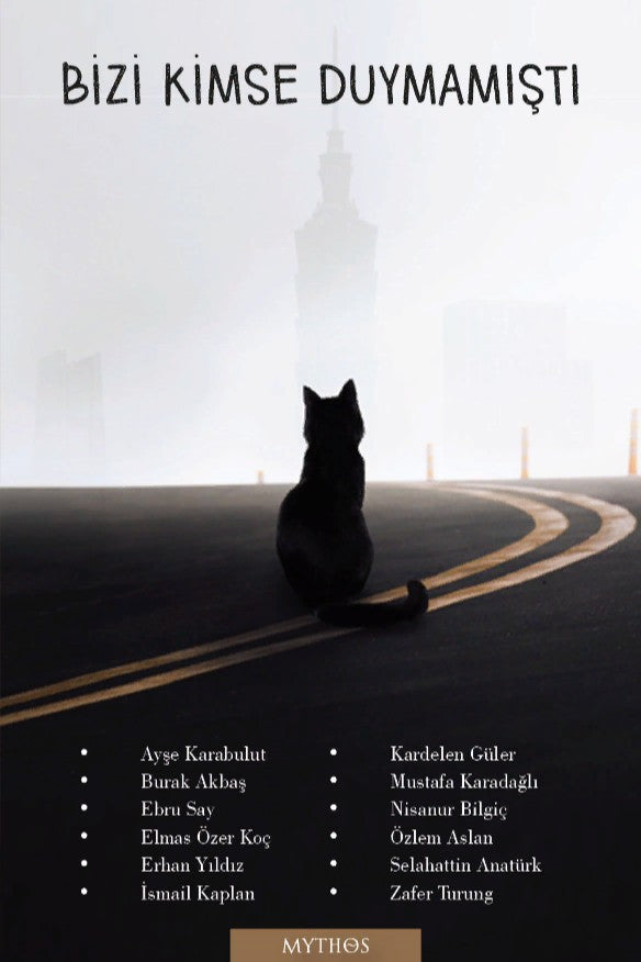Bizi Kimse Duymamıştı - B. Akbaş kitap kapağı