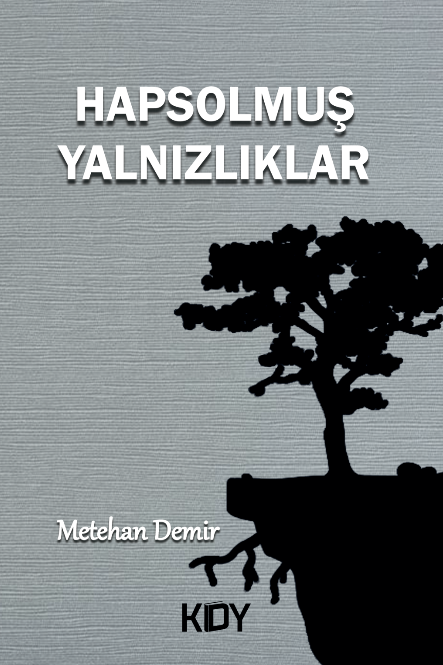 Hapsolmuş Yalnızlıklar - Metehan Demir kitap kapağı