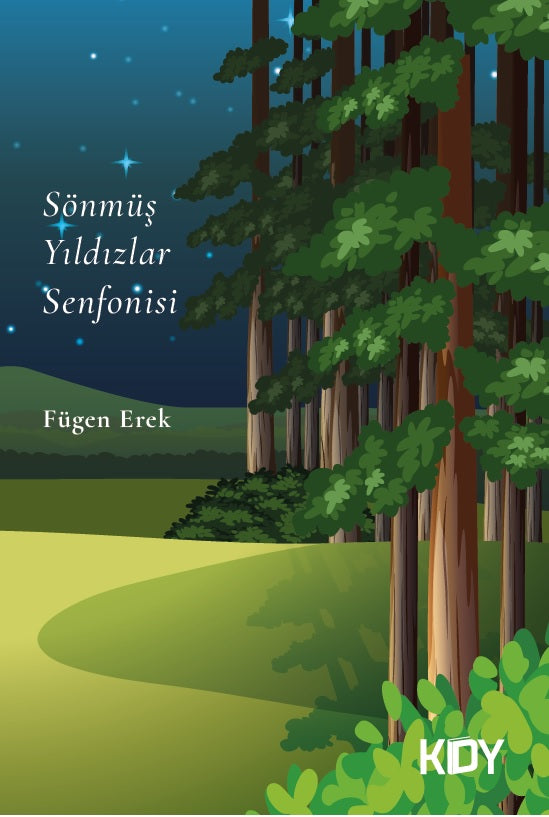 Sönmüş Yıldızlar Senfonisi - Fügen Erek kitap kapağı