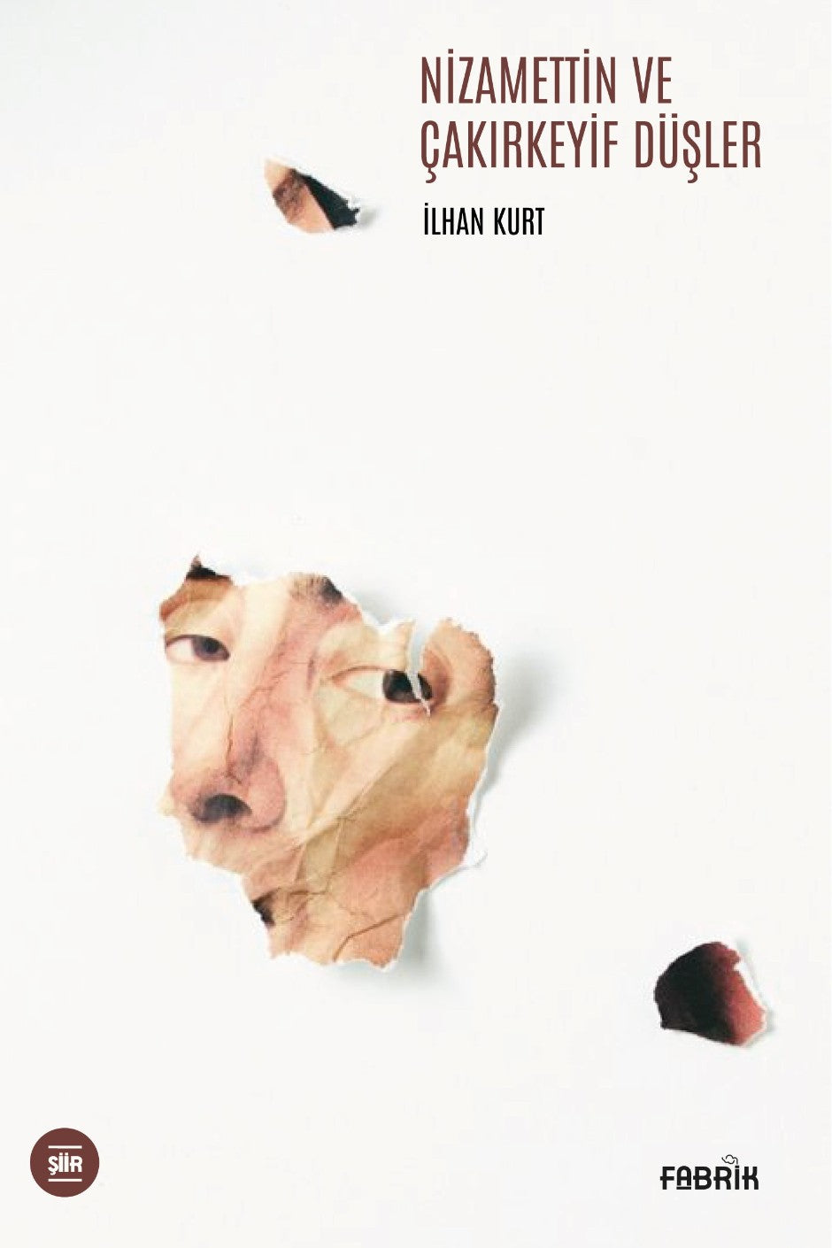 Nizamettin ve Çakırkeyif Düşler - İlhan Kurt kitap kapağı