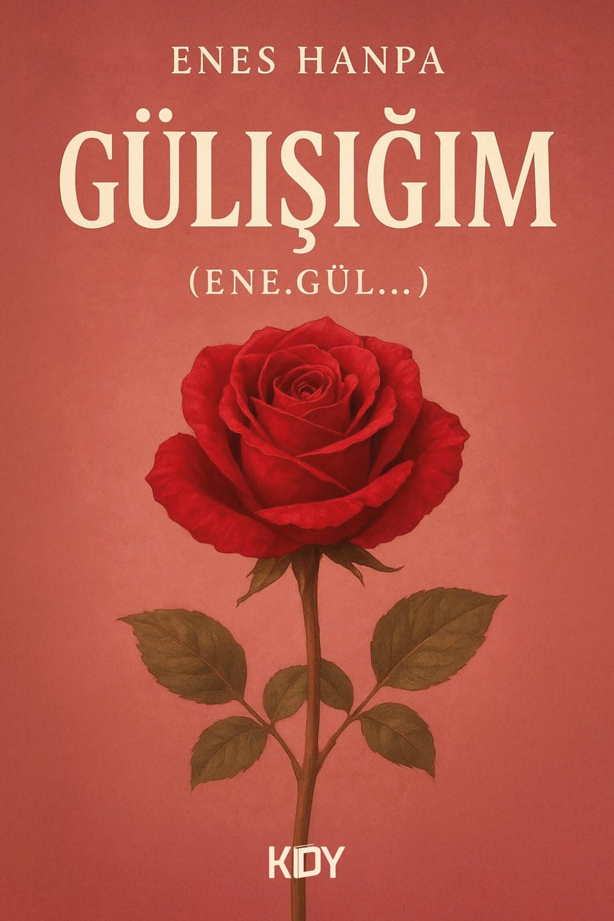 Gülışığım - Enes Hanpa kitap kapağı