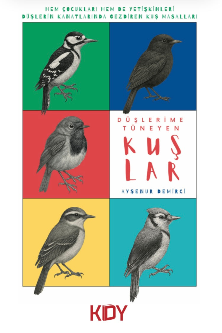 Düşlerime Tüneyen Kuşlar - Ayşenur Demirci kitap kapağı