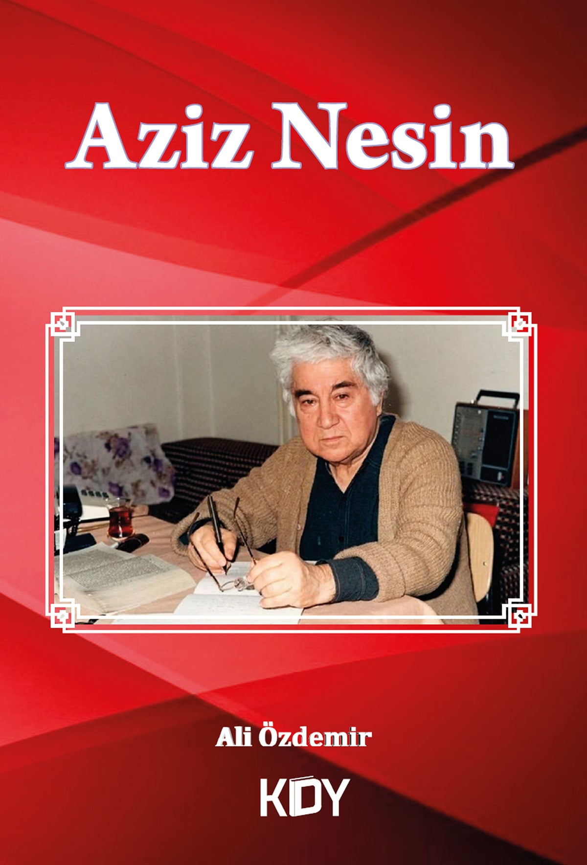 Aziz Nesin - Ali Özdemir kitap kapağı