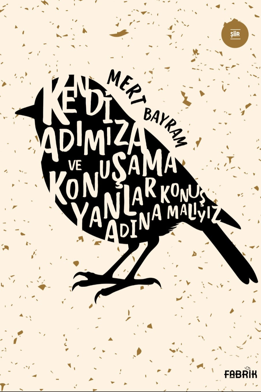 Kendi Adımıza ve Konuşamayanlar Adına Konuşmalıyız - Mert Bayram kitap kapağı